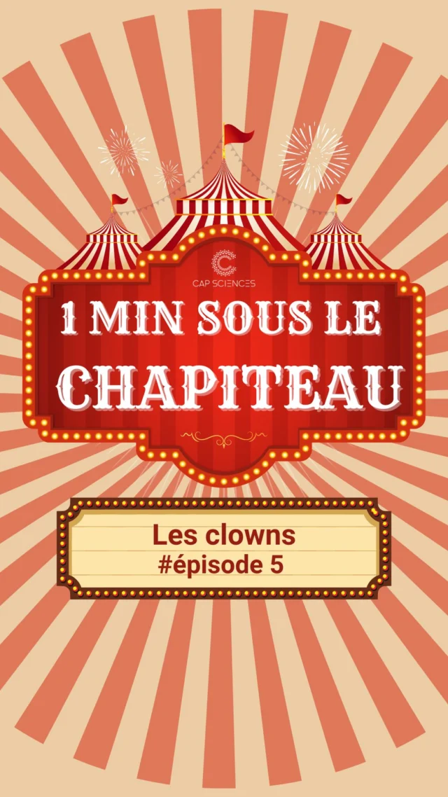 Est-ce que tu savais que les clowns n’ont pas toujours été drôles ? 🤡
Du clown blanc à l’Auguste, tout est devenu un jeu d’équilibre entre ordre et chaos...et du chaos très bien calculé ! 👀