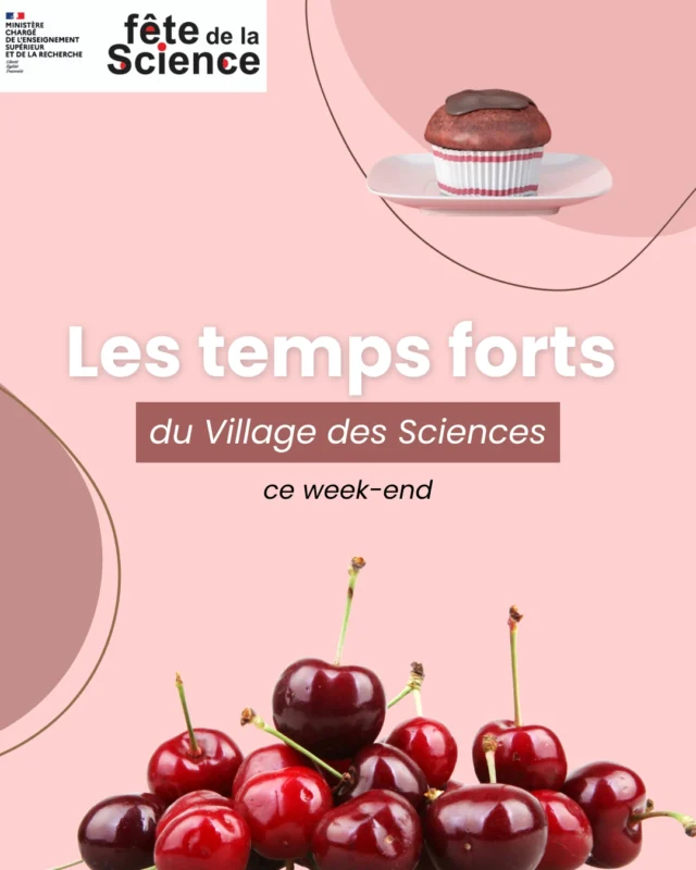 Cette année on a mis les petis plats dans les grands pour vous régaler ! 😋

Pendants 2 jours, vivez et goûtez la science à Cap Sciences ! Retrouvez toute la programmation sur notre site web 😉

On vous attend nombreux et nombreuses, en famille, entre amis ou en solo !