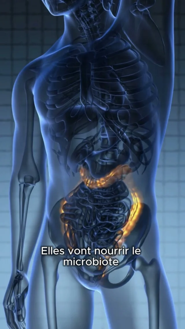 🥦 30 g de fibres par jour mais entre glucides, lipides, protéines… chacun a son rôle à jouer dans ton alimentation ! 

À l’occasion de la Journée mondiale de l’alimentation, on met les fibres sous la loupe et si tu veux en savoir plus sur ce qu'il se passe après, découvre le dans l'exposition Crotte ! Que fait le microbiote ? 💩